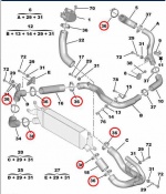 SP 1440L3 - Intercooler Hose Clip